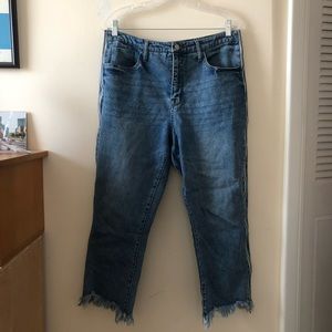 Wild Fable Fringe Bottom Zipper Side Jeans